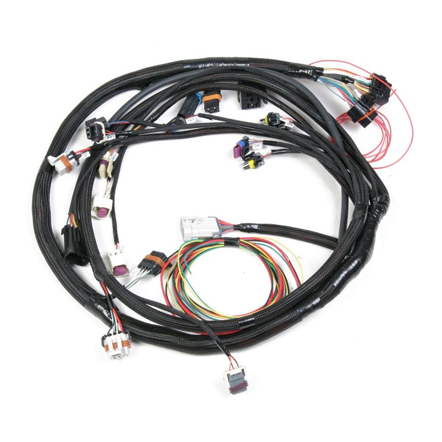 Holley Fuel Injection Wire Harness - 558103