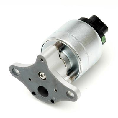 Delphi EGR Valves - EG10026