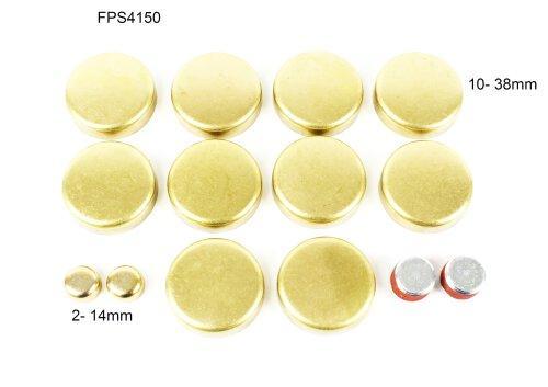DNJ 2011 Ford Mustang 5.4L Expansion Plug