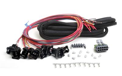 Holley EFI Systems Wiring Harnesses - 558204