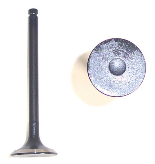 DNJ Exhaust Valve 1986-1994 Mazda, Mercury 1.6L