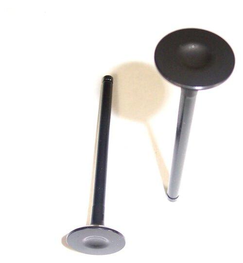 2001 Daewoo Lanos 1.6L Exhaust Valve