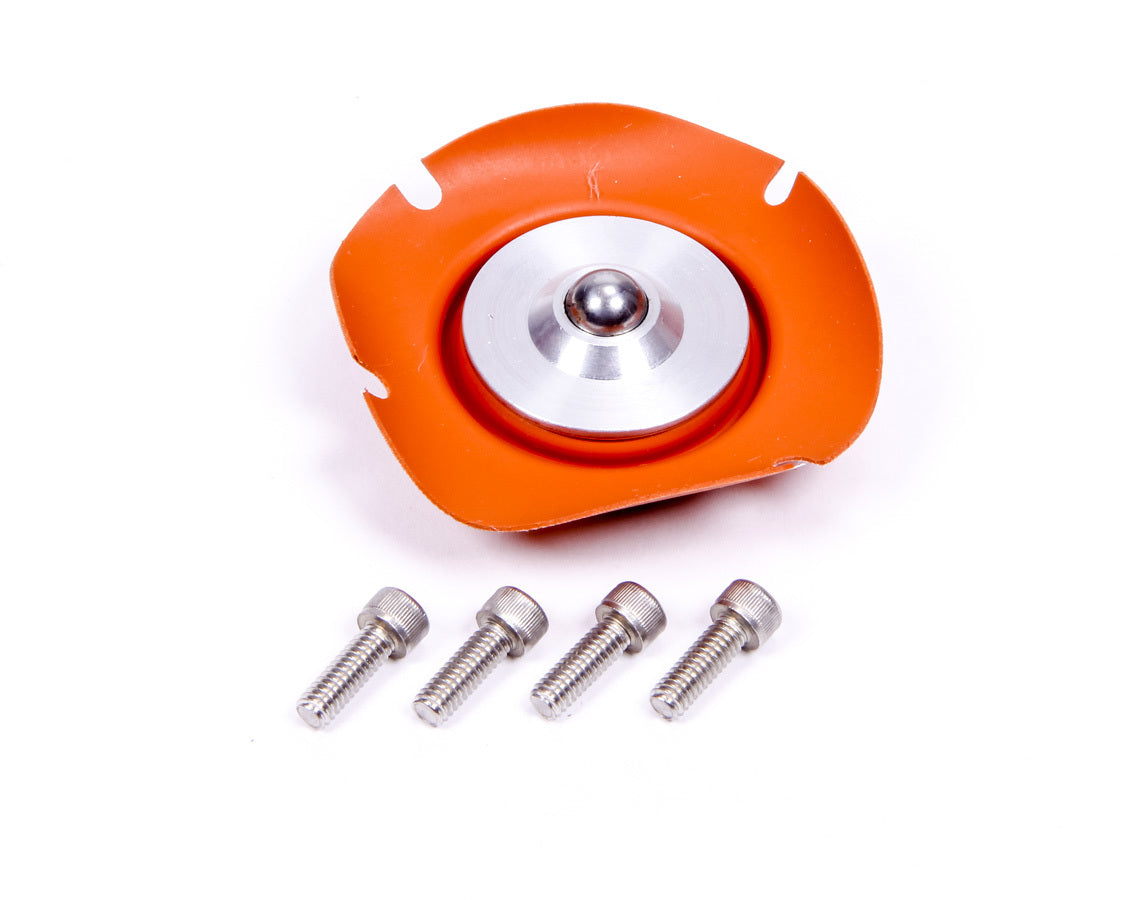Aeromotive Regulator Service Kit - 13004