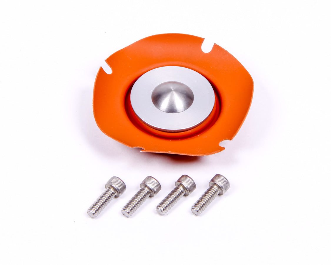 Aeromotive Regulator Service Kit - 13006