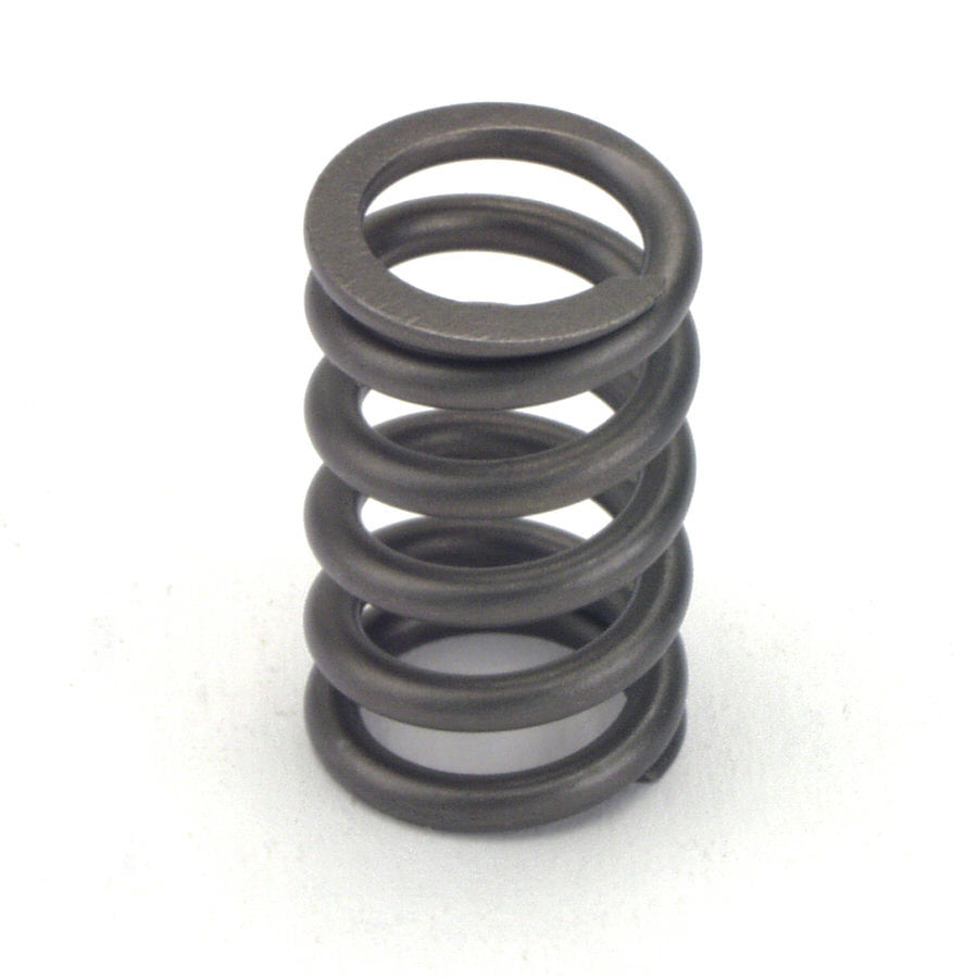 Valve Springs - Single 1.090 - 6819024