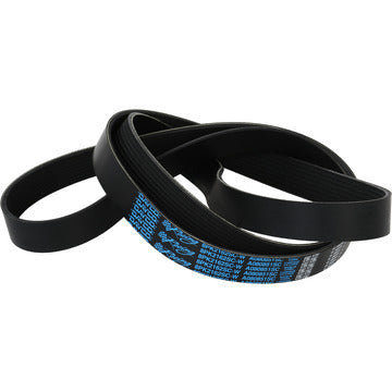 Dayco V-ribbed Belt - A080851SC