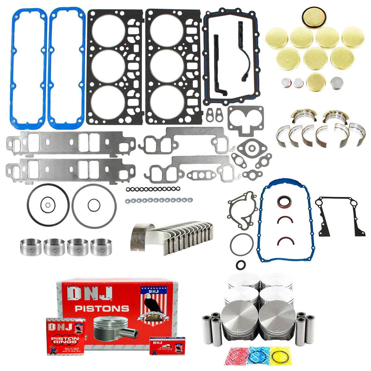 DNJ Engine Rebuild Kit 1998-2003 Dodge 3.9L