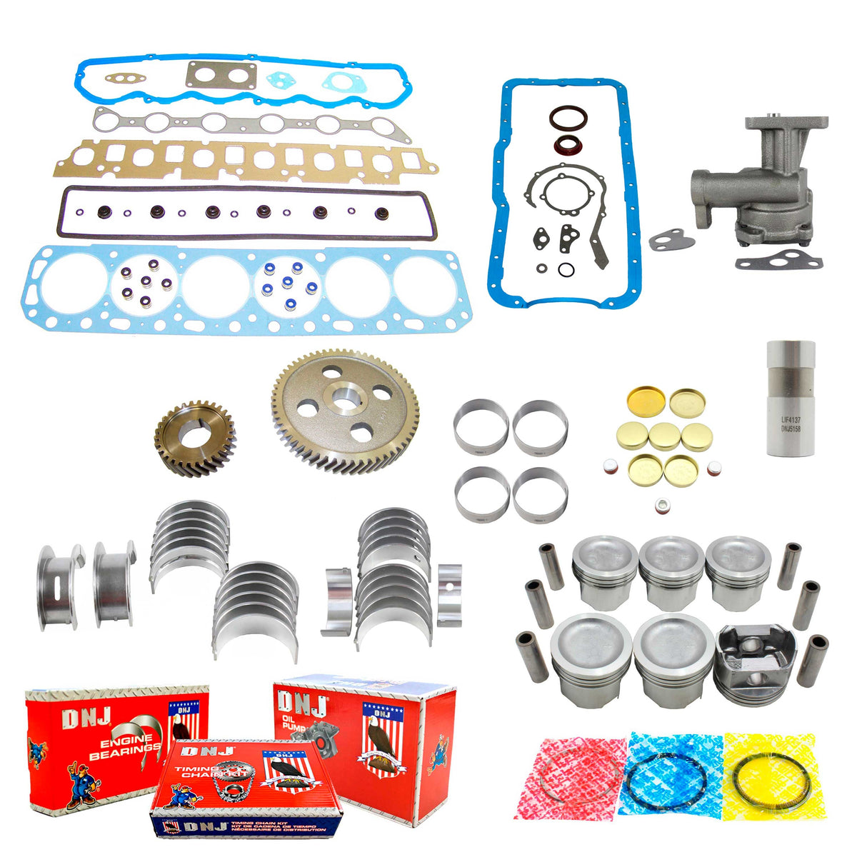 DNJ Master Engine Rebuild Kit 1991-1992 Ford 4.9L