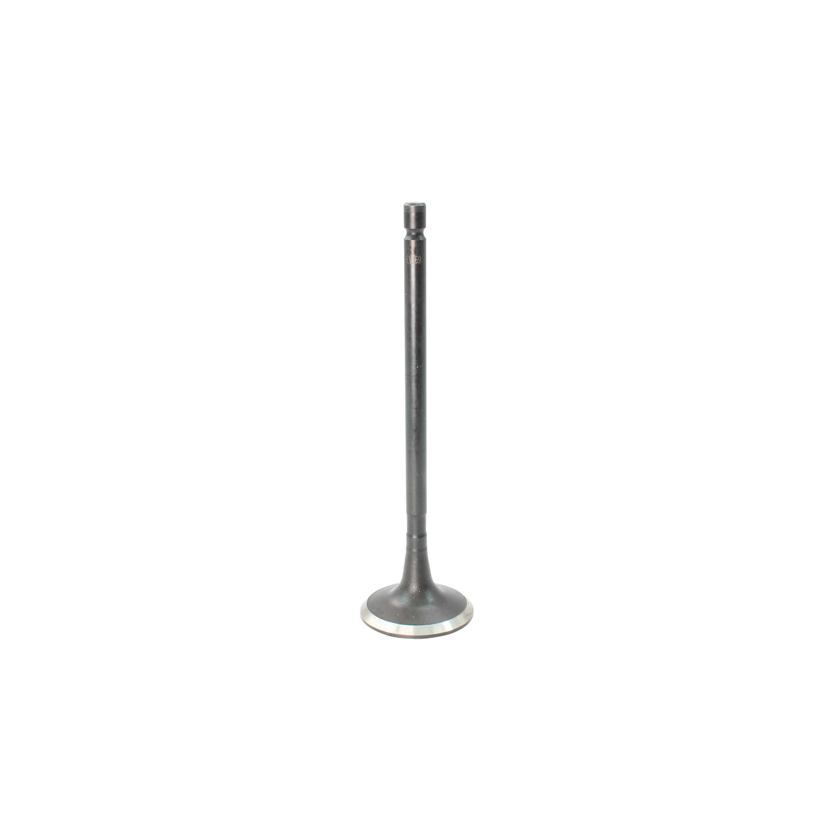 2008 Mitsubishi Galant 3.8L Exhaust Valve