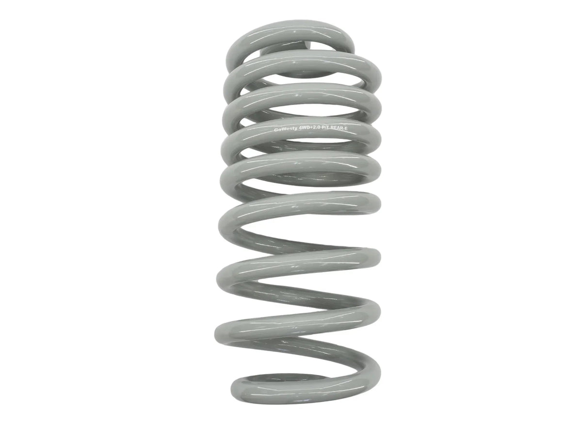 Fox Shock and Spring Bundle (Rear) [Syncro]