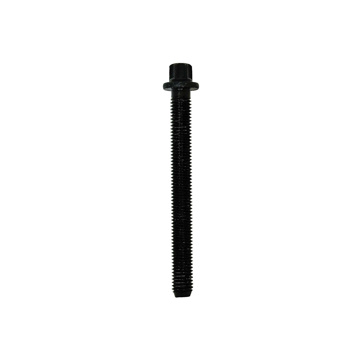DNJ 1996 BMW 318i 1.9L Cylinder Head Bolt
