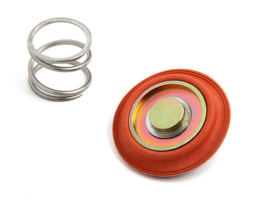 Holley Rebuild Kit For Bypass Regulators 12-841/12-842 - 12823