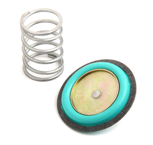 Holley Rebuild Kit for 12-843 Regulator - 12824