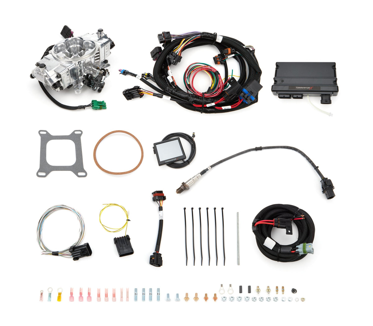 Holley Fuel Injection Kit Terminator - 5501001