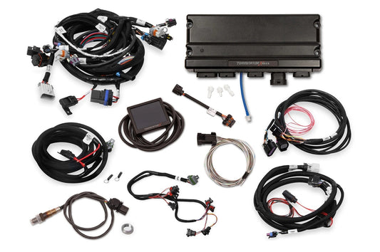 Holley Fuel Injection - 550935
