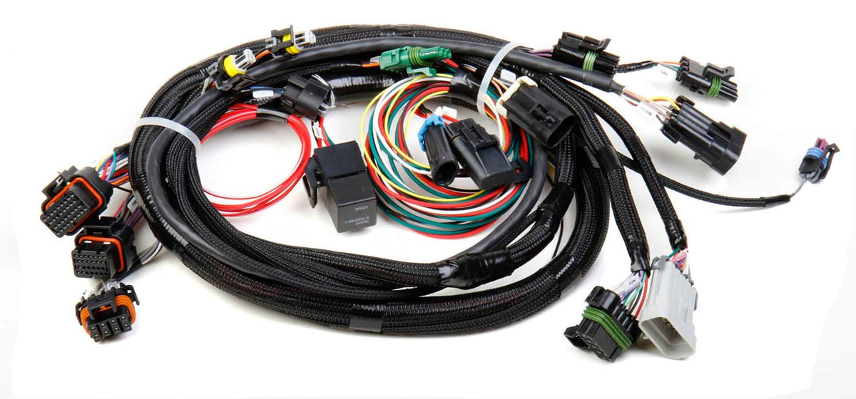Holley Fuel Injection Wire Harness - 558101