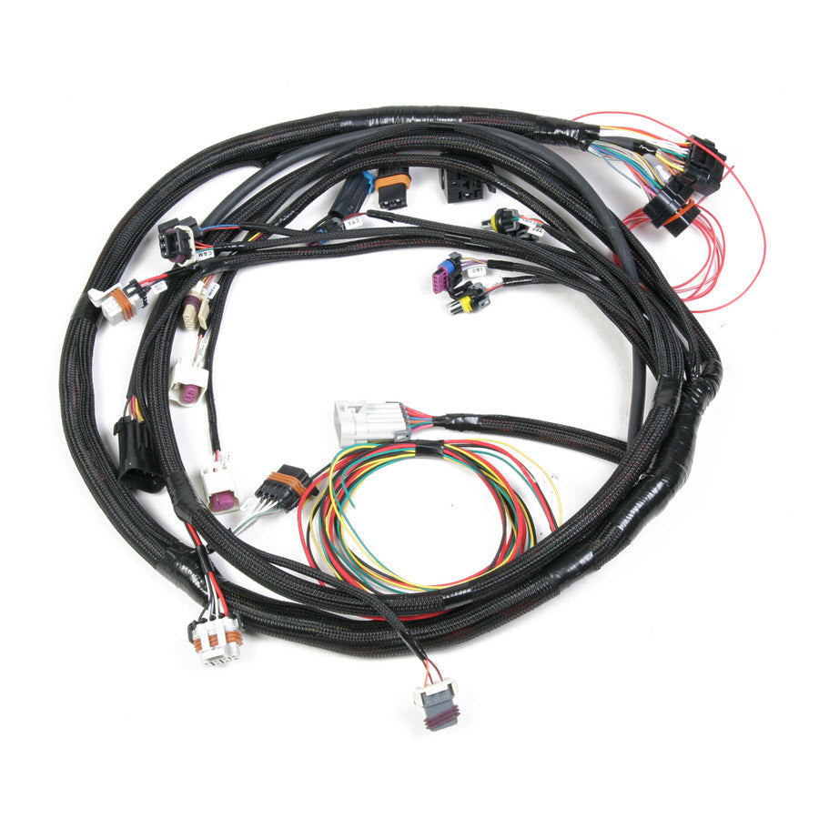 Holley Fuel Injection Wire Harness - 558104