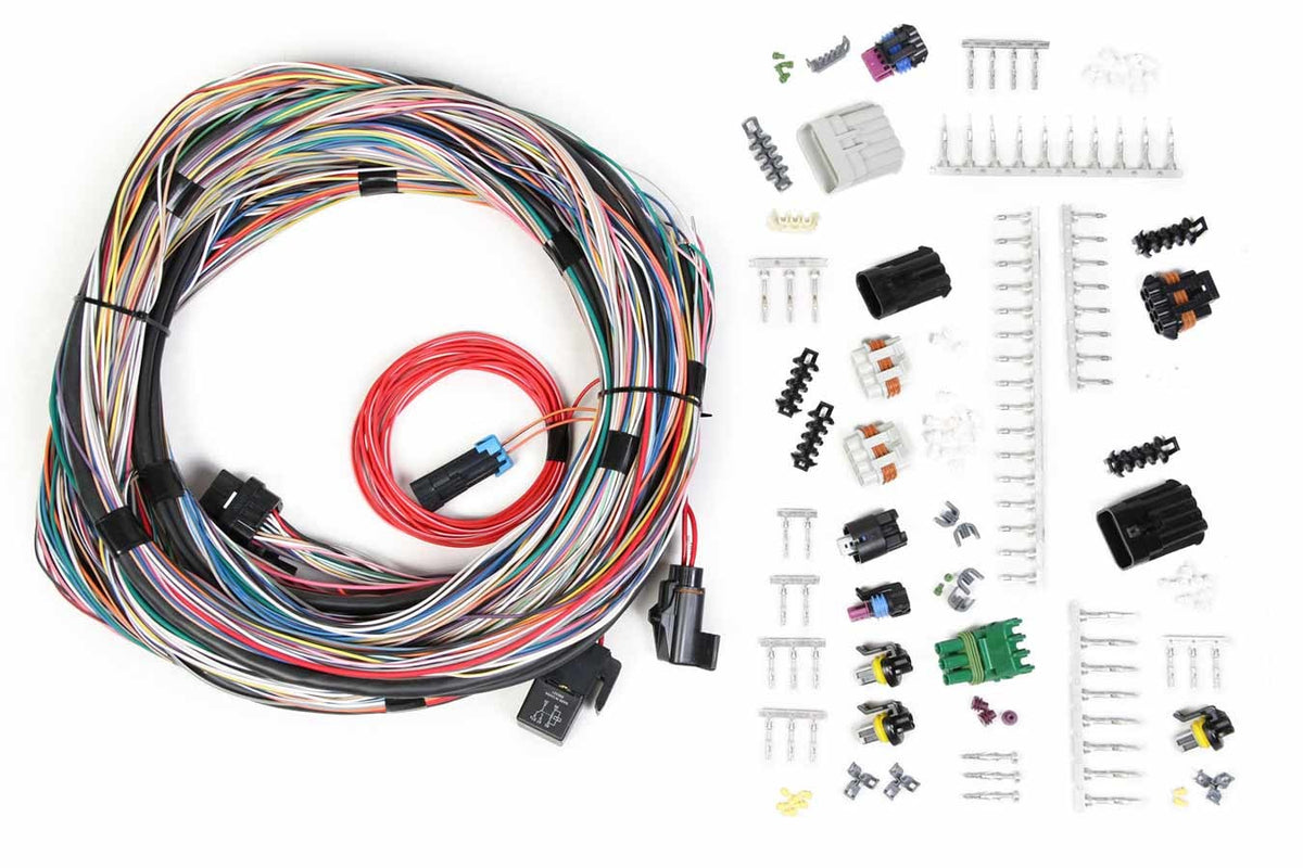 Holley Fuel Injection Wire Harness - 558105