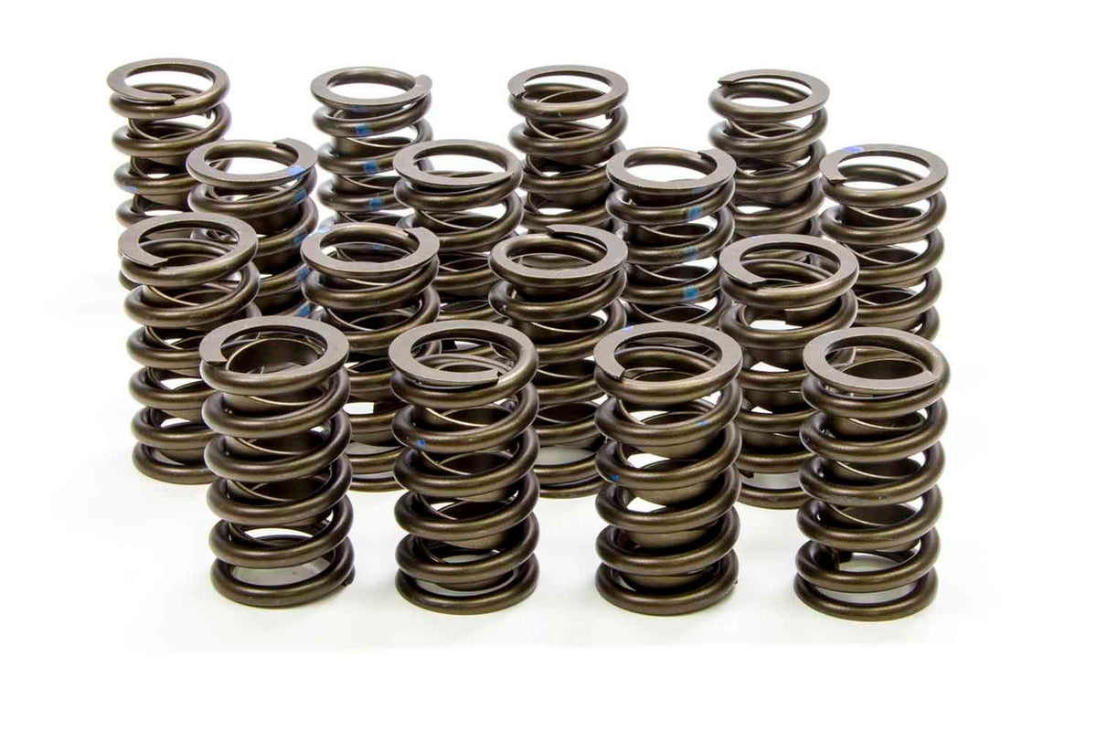 1.260in Valve Springs - 295D