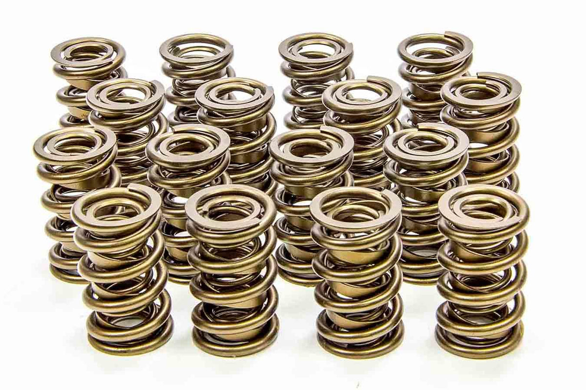 Isky 1.600 Valve Springs