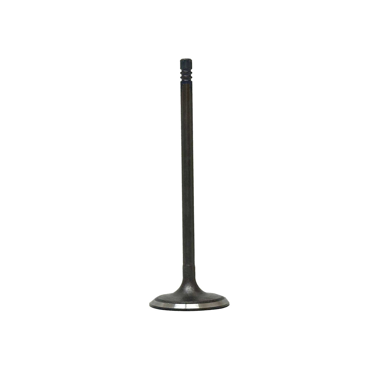 DNJ Intake Valve 2013-2022 Chrysler, Dodge, Fiat, Jeep, Ram 2.4L