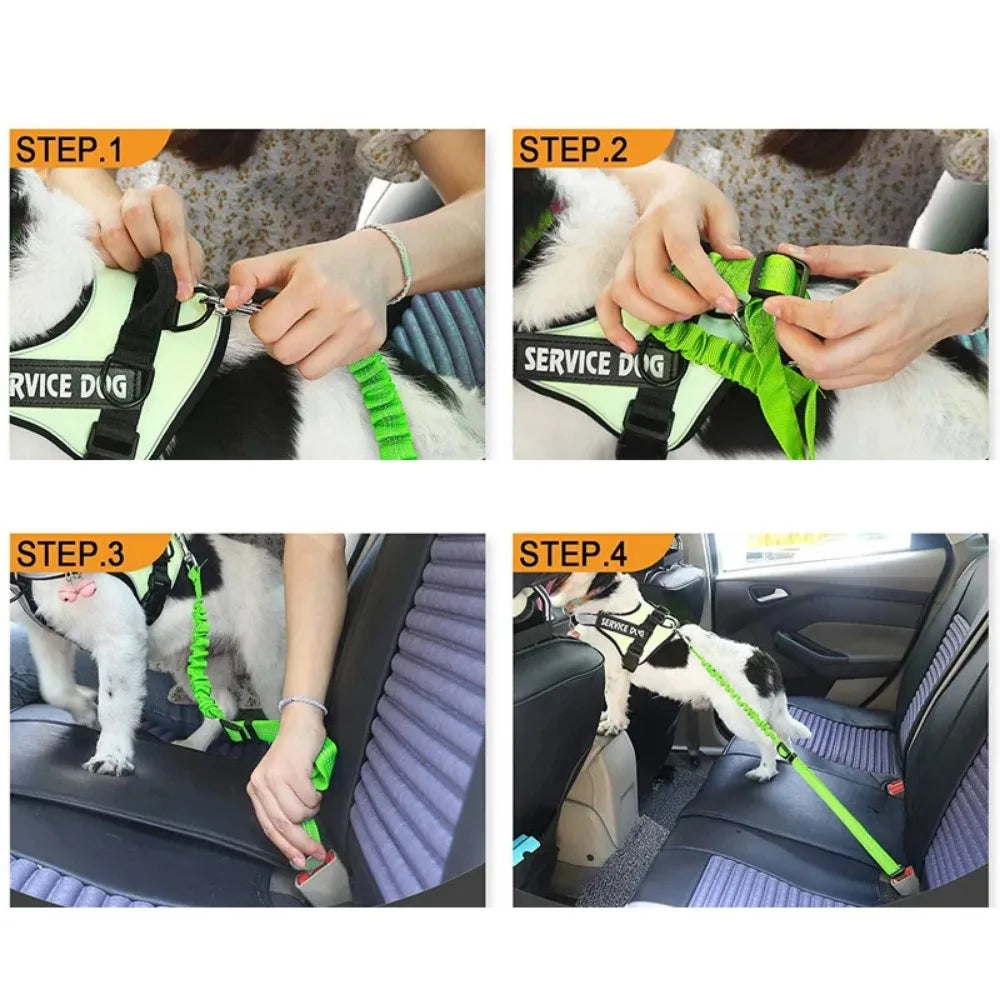 Reflective Dog Seat Belt for Cars | Adjustable Nylon Safety Harness with Bungee