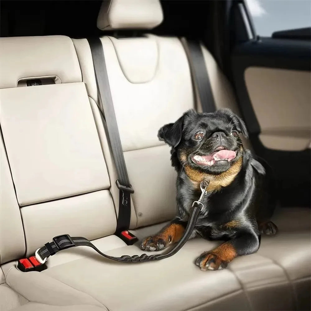 Reflective Dog Seat Belt for Cars | Adjustable Nylon Safety Harness with Bungee