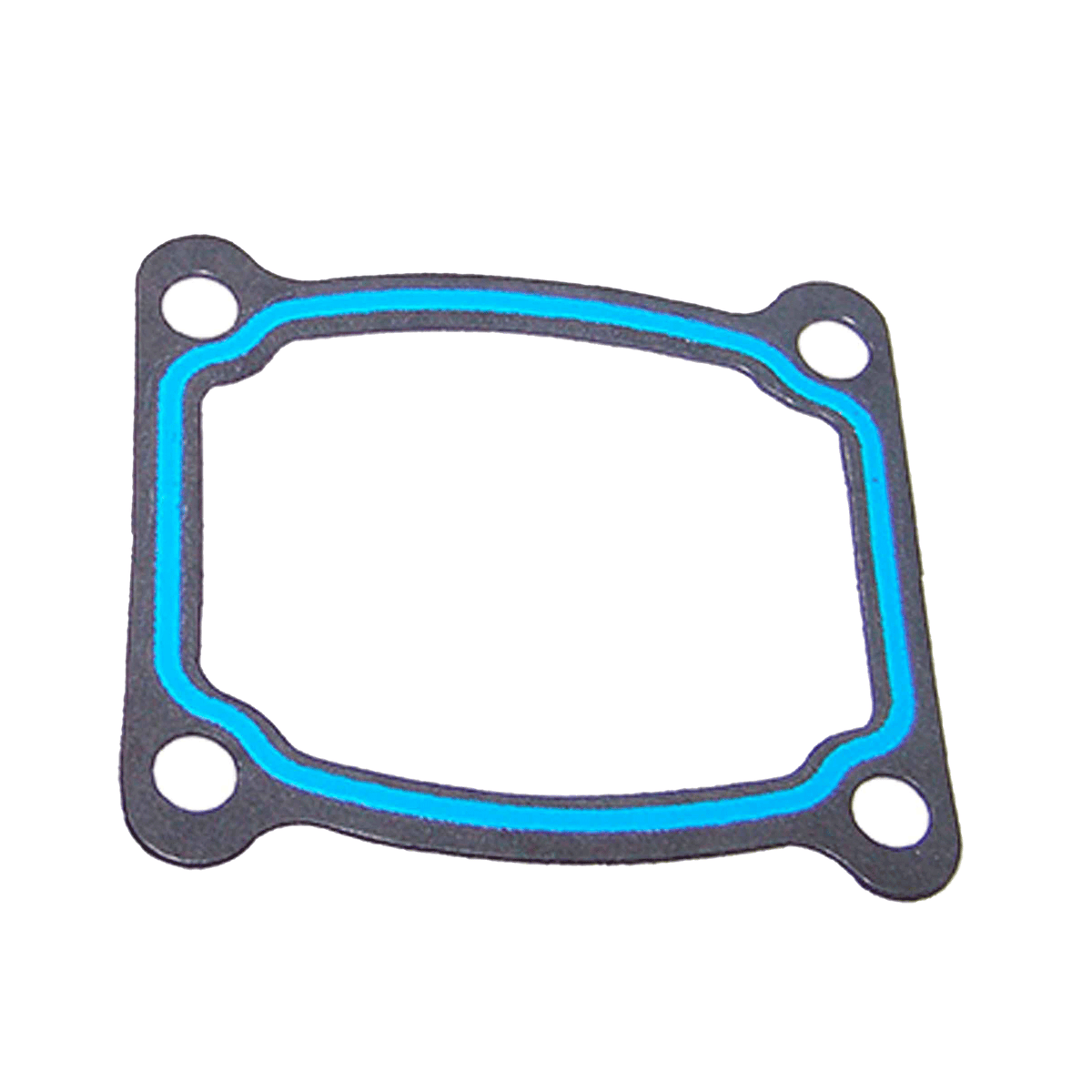 DNJ Timing Cover Gasket Set 2003-2022 Lexus, Toyota 2.5L-4.0L