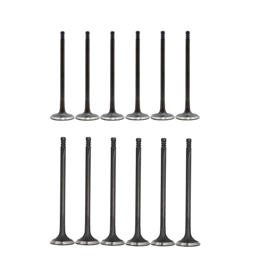 DNJ Exhaust / Intake Valve Kit 2014-2021 Ford 1.0L