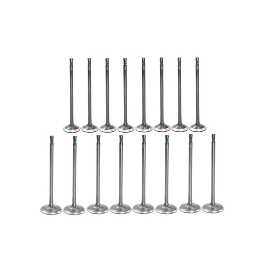 Exhaust / Intake Valve Kit 2013-2019 Ford 1.5L-1.6L