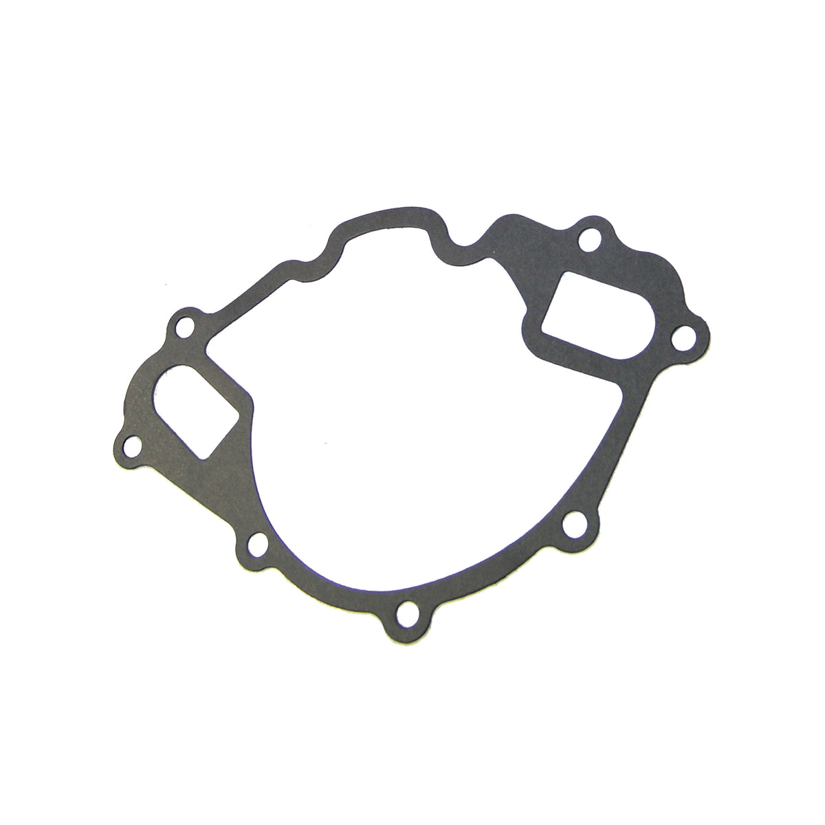 DNJ Water Pump 1987-1997 Ford 5.0L-5.8L