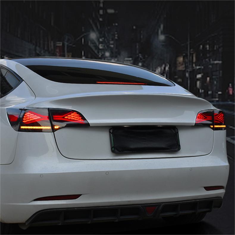 Teskay X-treme Tail Light for Model 3/Y