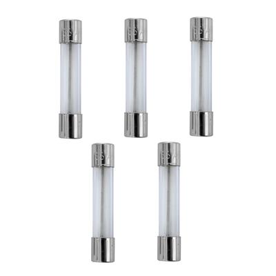 Bussmann AGC Glass Tube Fuses - AGC20R