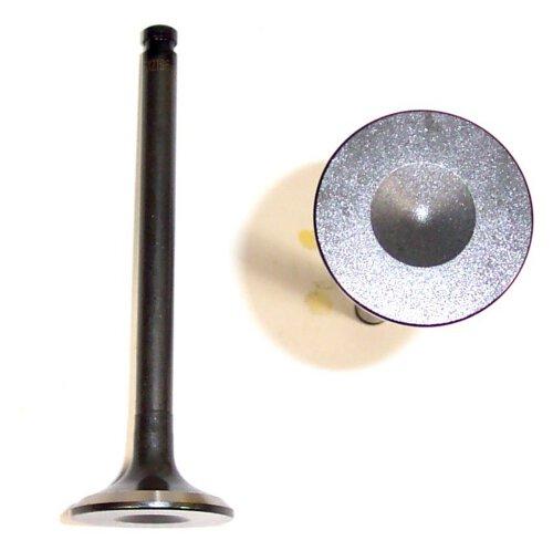 1982 GMC S15 1.9L Exhaust Valve