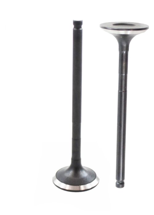 Exhaust Valve 2000-2019 Scion, Toyota 1.5L