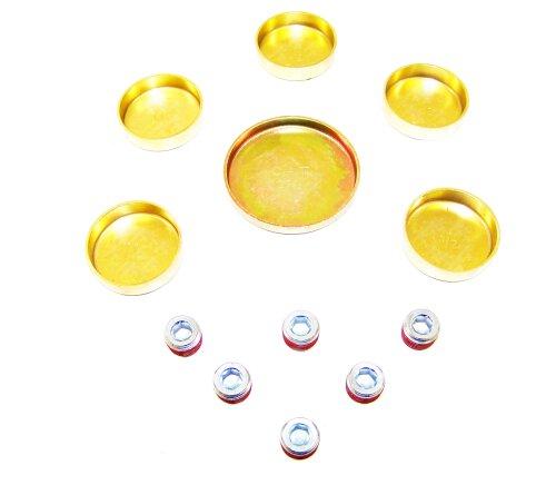 DNJ 2000 Ford Ranger 3.0L Expansion Plug