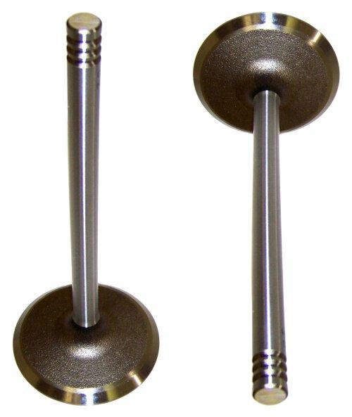 DNJ Intake Valve 1999-2006 Dodge, Jeep 2.5L-4.0L