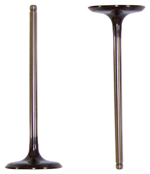 DNJ Intake Valve 2003-2022 Toyota 4.0L