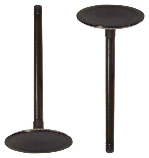 DNJ Intake Valve 2005-2010 Chrysler, Dodge, Jeep 6.1L