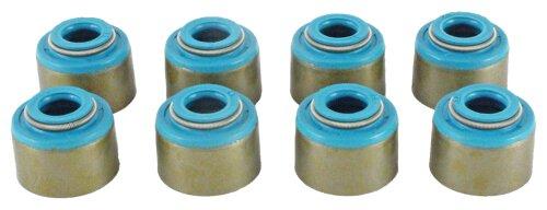 DNJ Valve Stem Oil Seal Set 1994-2002 Dodge, Jeep 2.5L