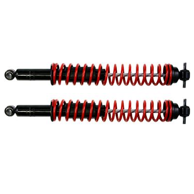 Gabriel Load Carrier Shocks - 43180