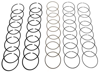 Hastings Premium Ductile Ring Sets - 2M5581045