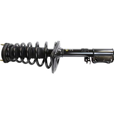 Monroe Quick-Struts - 172310