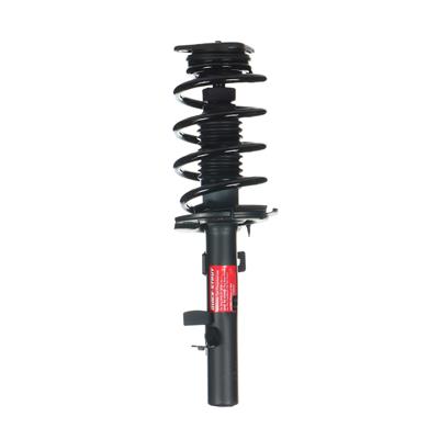 Monroe Quick-Struts - 272751