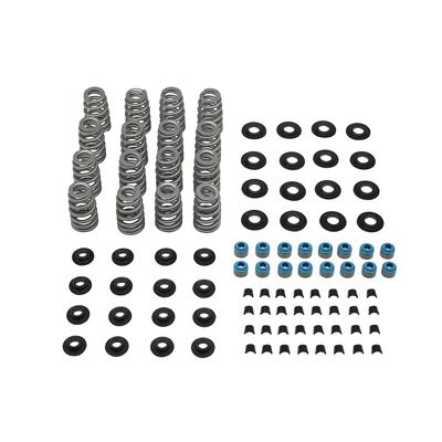 Quicksilver Circle Track Valve Springs - 8M0189858