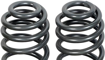 Dorman Coil Spring Set