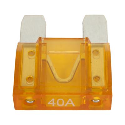 Summit Racing™ Fuses - SUM900287