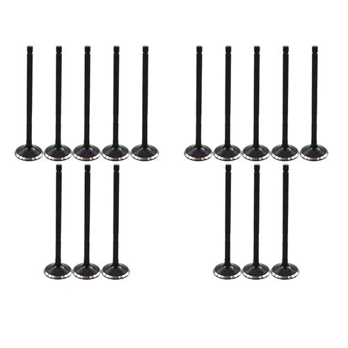 DNJ Exhaust / Intake Valve Kit 2000-2006 Pontiac, Toyota 1.8L